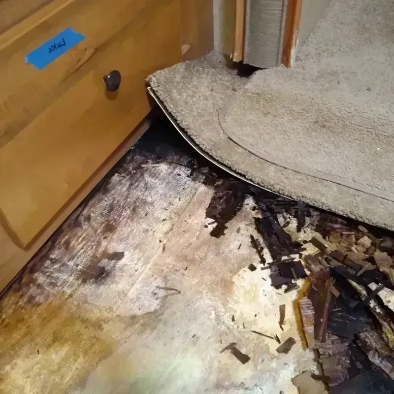 Best Wood Floor Water Damage Service in Shady Shores, TX